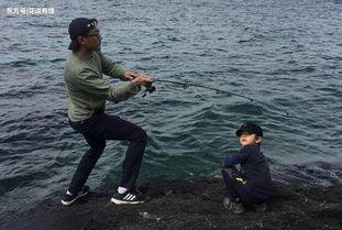 娱乐吃瓜钓鱼视频下载,一键下载收藏攻略